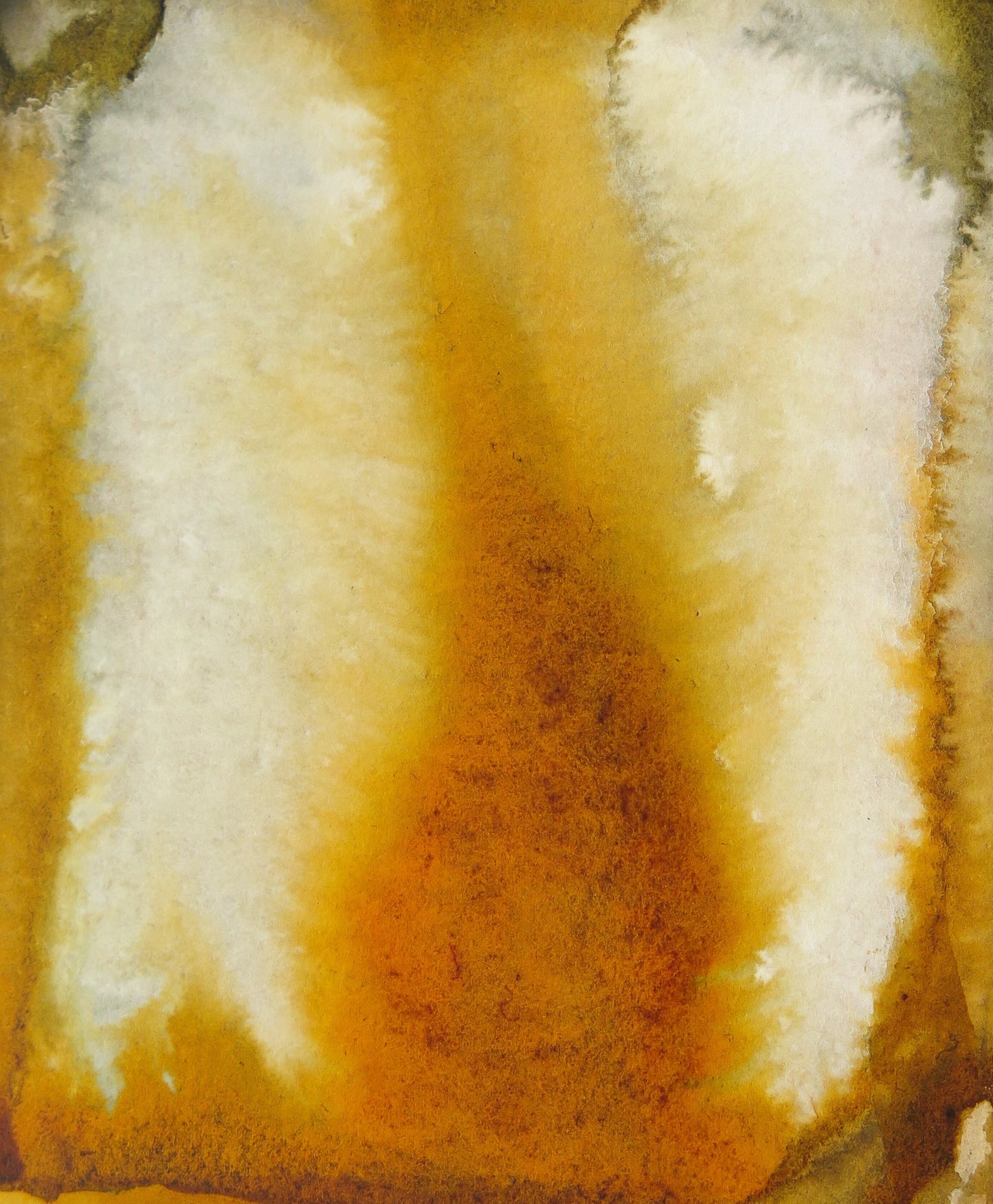 tangerine