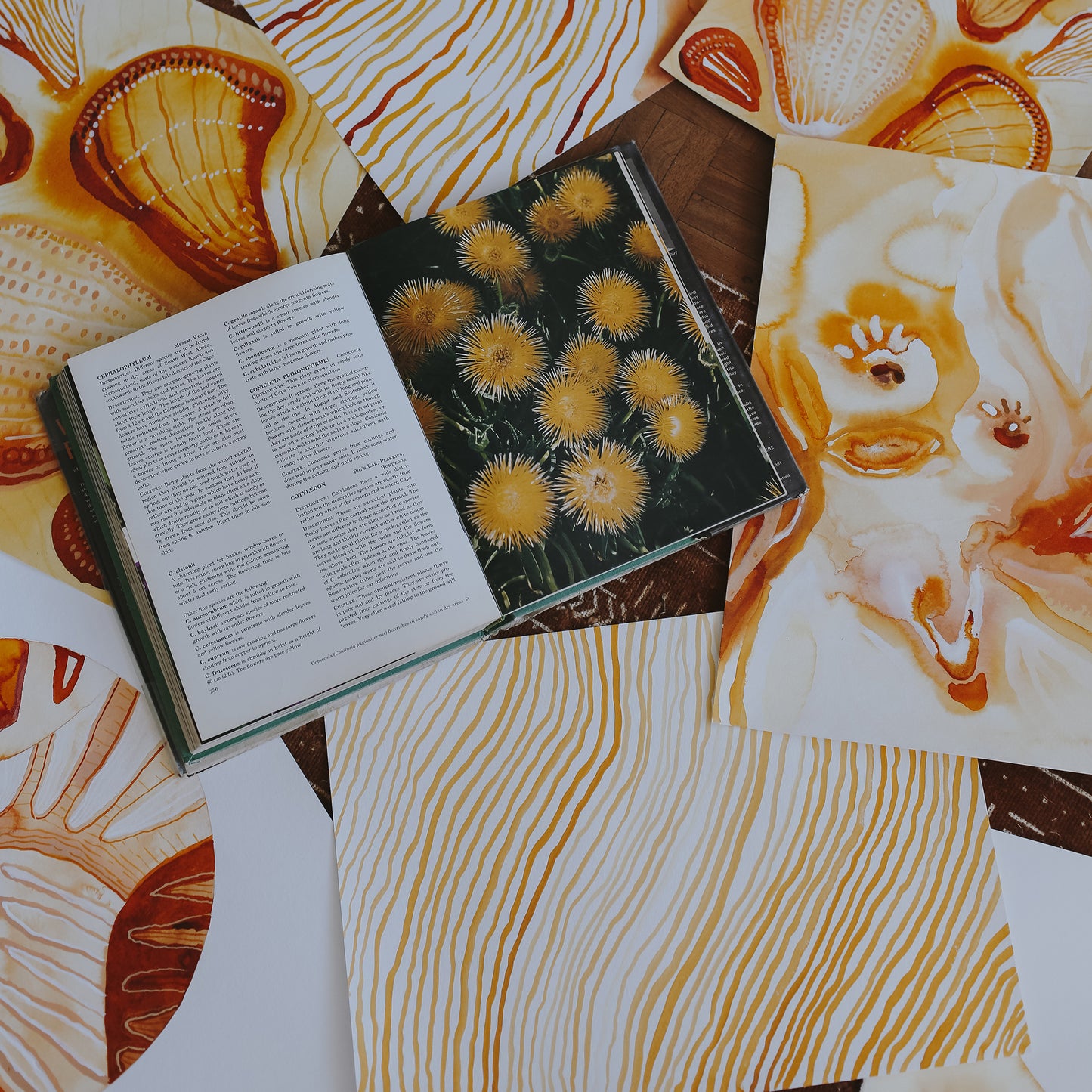 the colour of sunlight