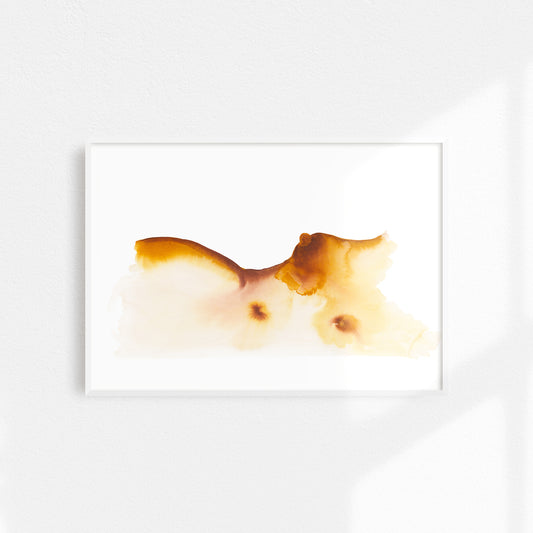 when i dream of flying