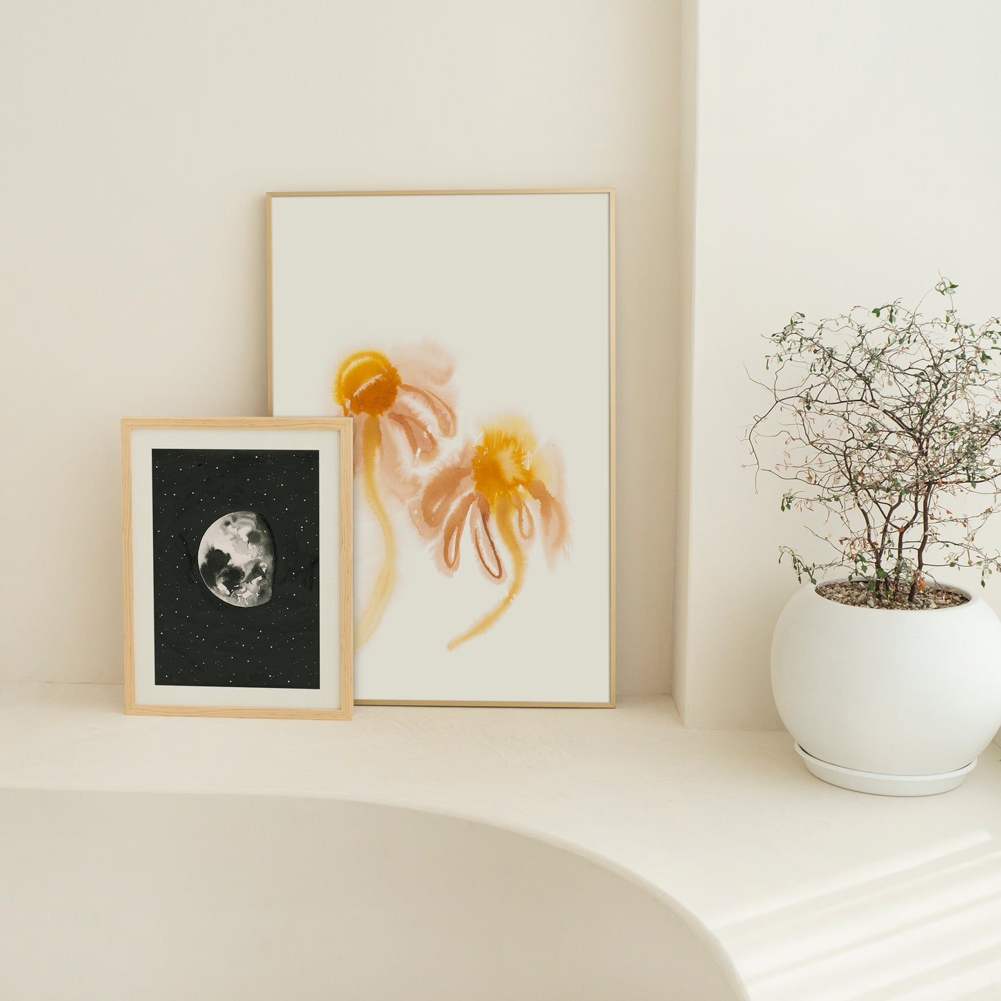 Colour Filled Blooms