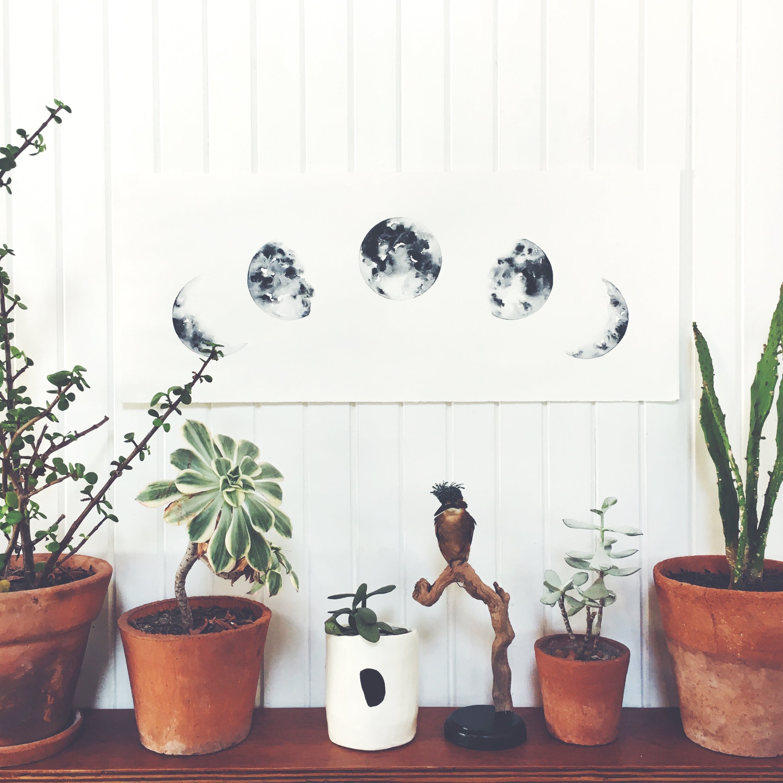 Five curved moons