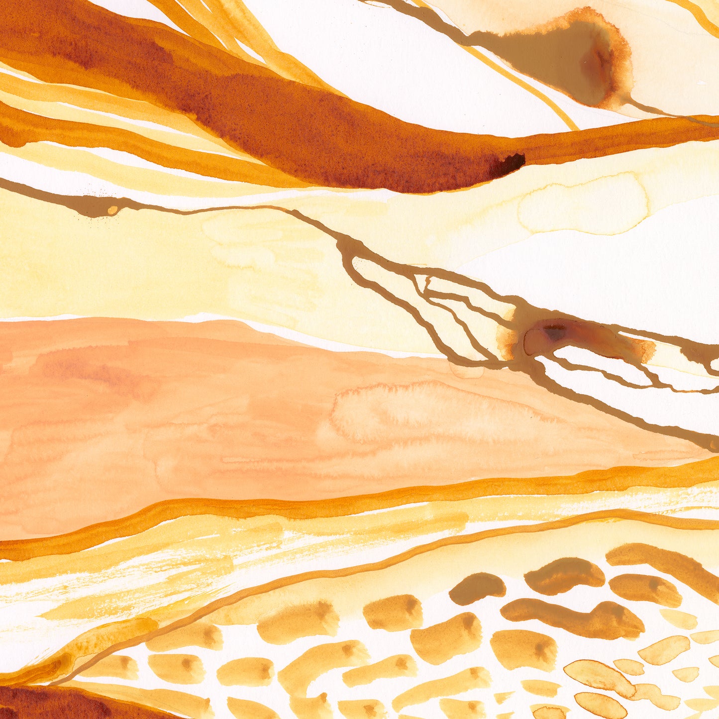 Fluid Earth { Prince Albert }