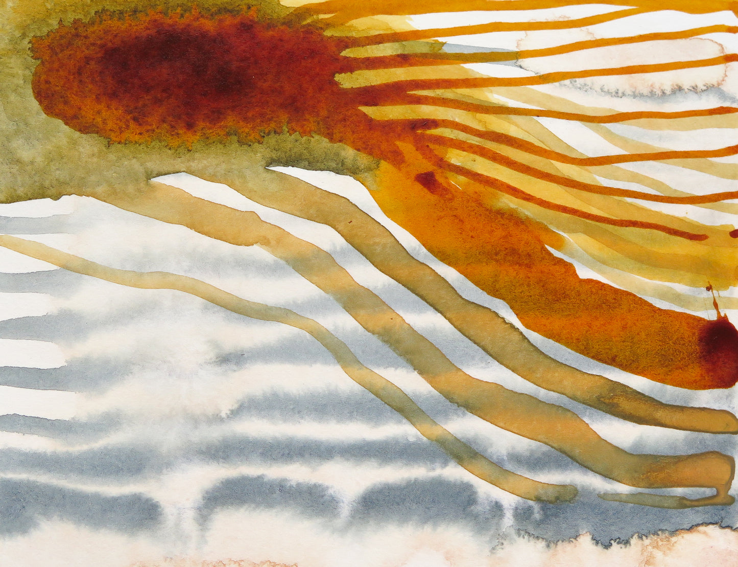ocean apricot