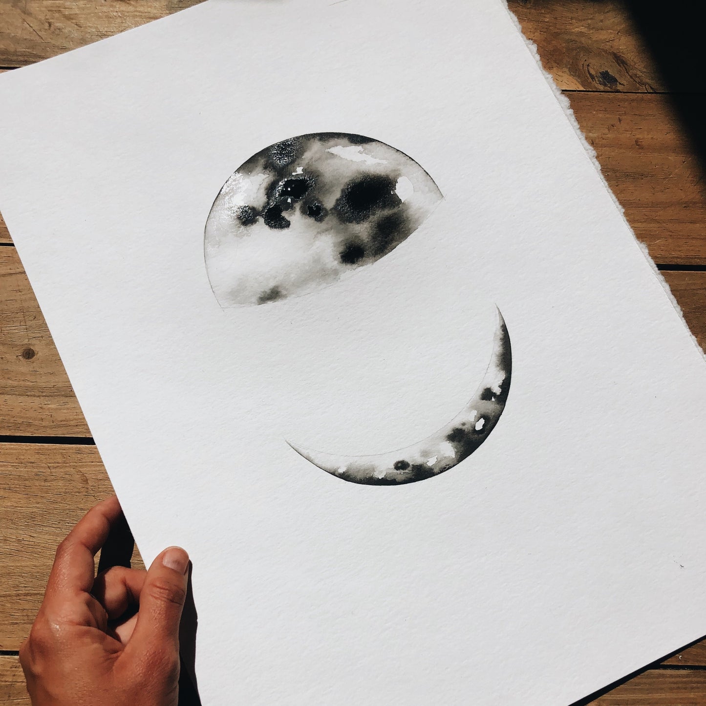 Double Lunar Phase Portrait ~ on white