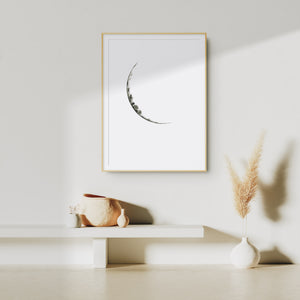 Single Moon Phase Portrait ~ on white