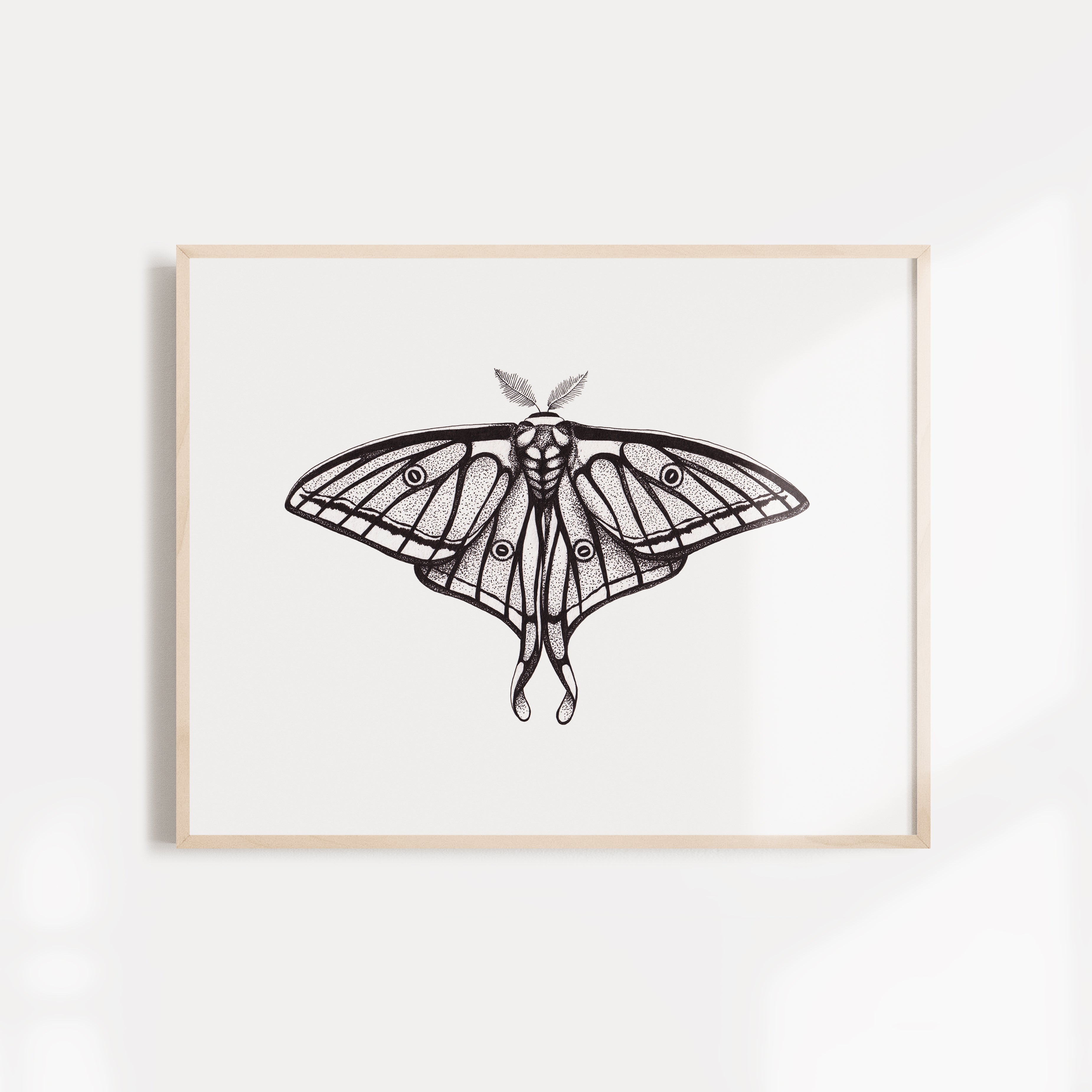 Moon and Moth II - Set of 2 curated artworks
