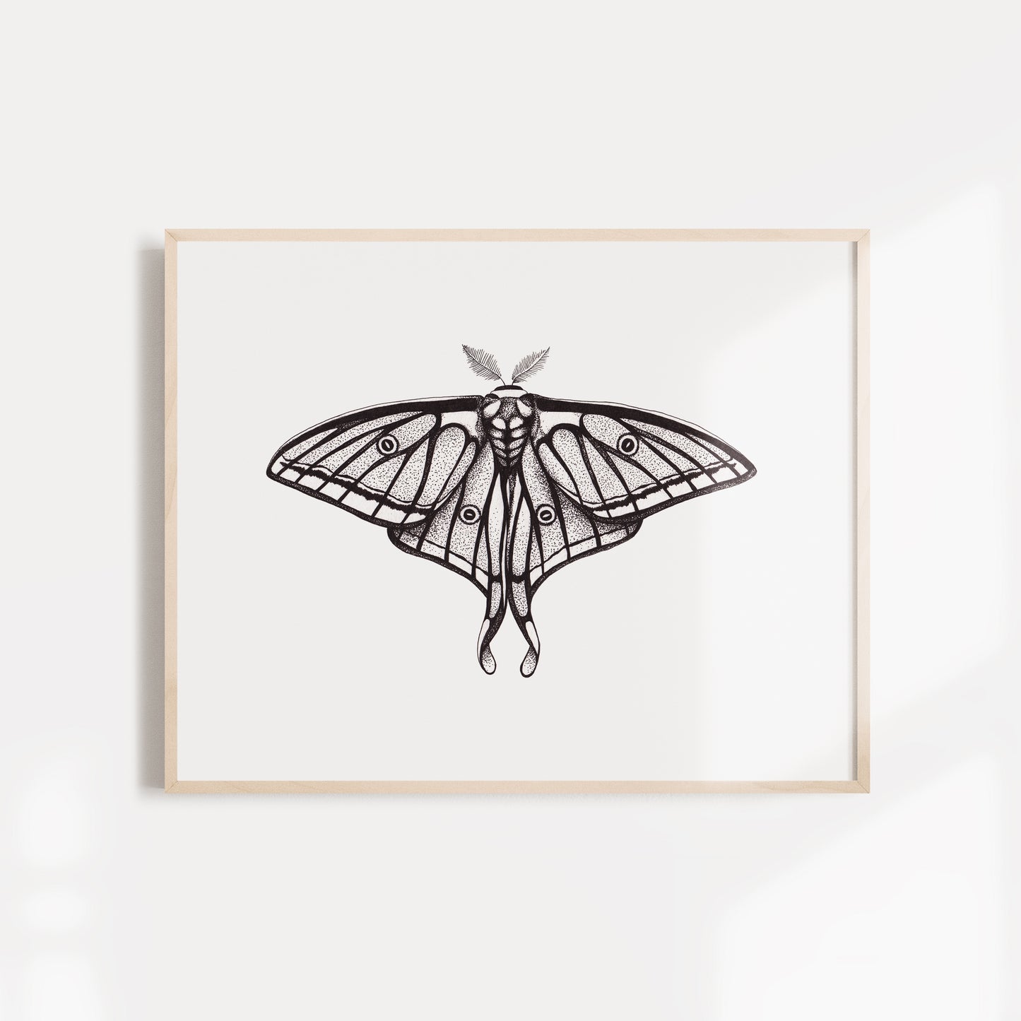 Moon and Moth II - Set of 2 curated artworks